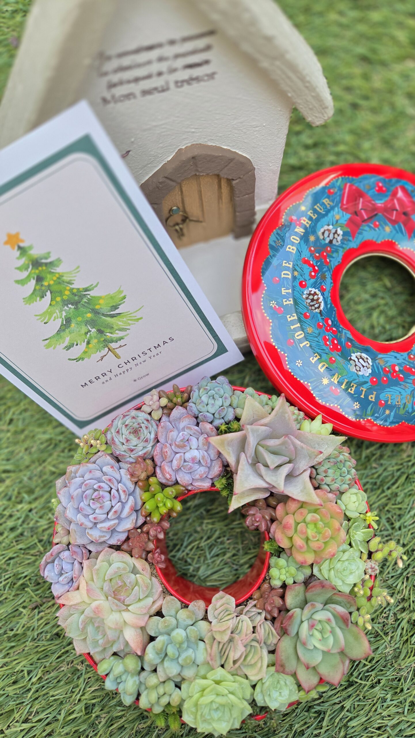 多肉植物の寄せ植え教室　at　福井県総合グリーンセンター