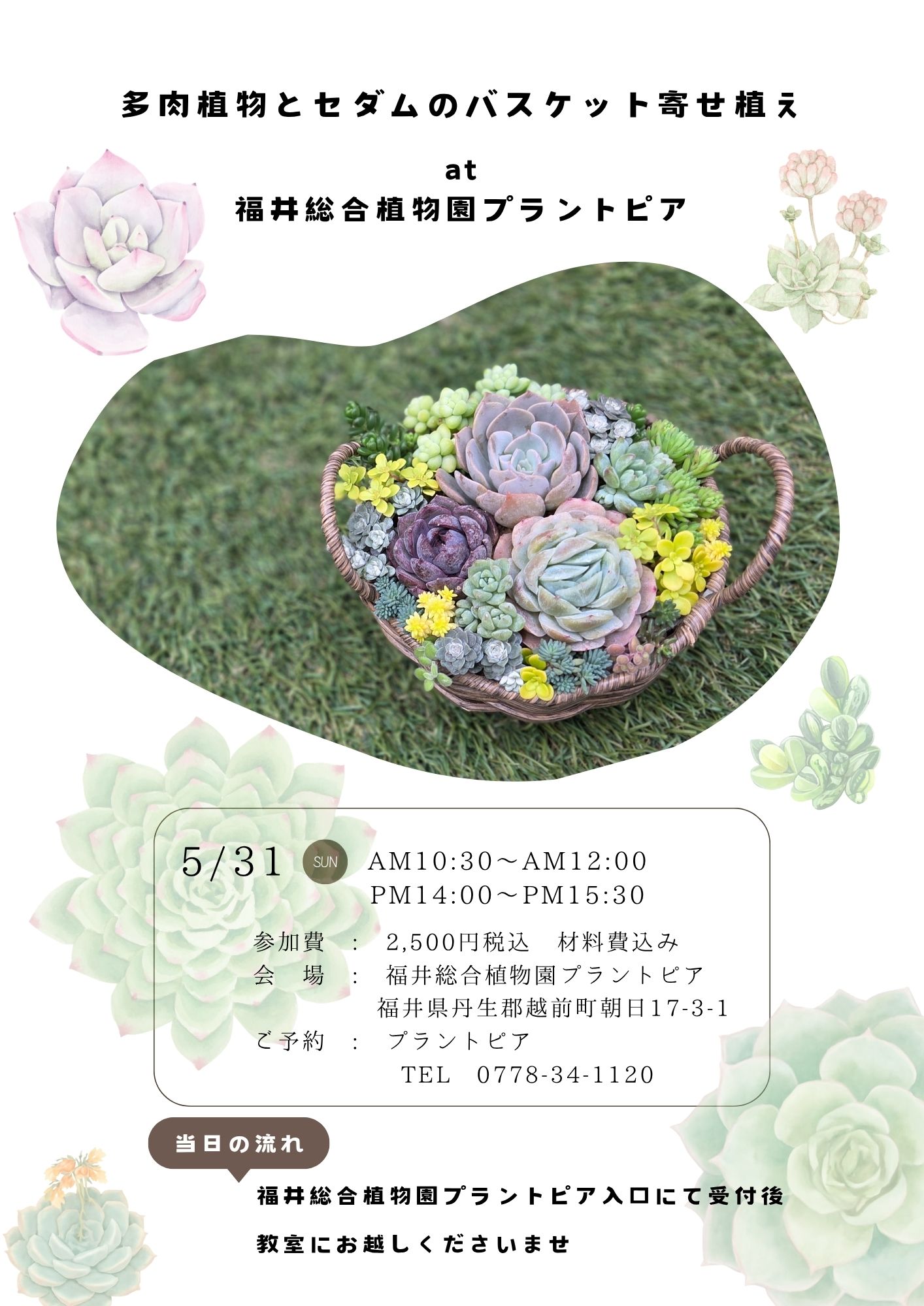 福井総合植物園プラントピア寄せ植え教室のご予約受付開始！