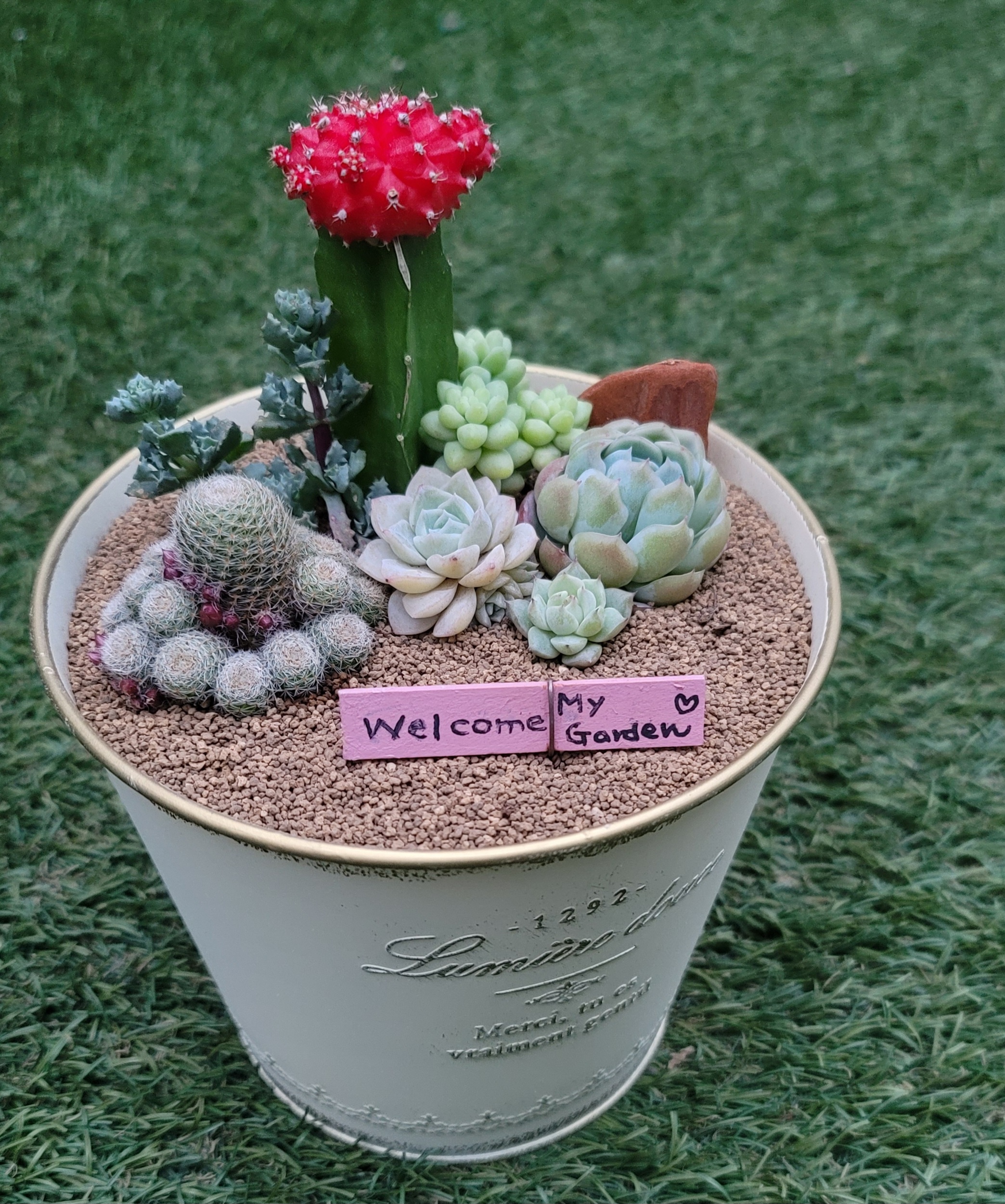 多肉植物とサボテンの寄せ植え教室 at 福井総合植物園プラントピア